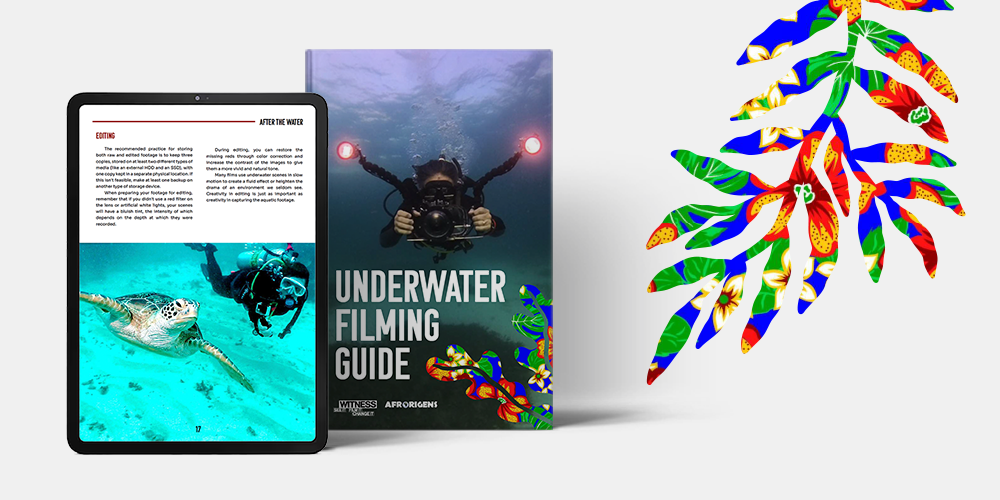Underwater Filming Guide